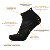 Point 6 Essential Light 1/4 Crew